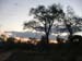 Africa0035