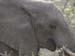 Africa0073