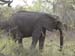 Africa0074