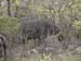 Africa0075