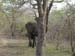 Africa0077