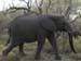 Africa0078