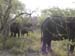 Africa0080
