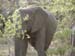 Africa0089