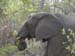 Africa0094