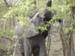 Africa0101