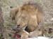 Africa0102