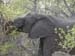 Africa0105