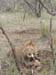 Africa0106