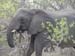 Africa0107