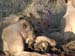 Africa0111