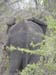 Africa0114