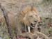 Africa0115