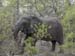 Africa0116