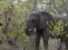Africa0120