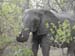Africa0123