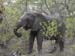 Africa0125