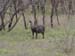 Africa0128