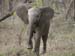 Africa0129