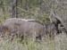 Africa0130