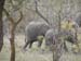Africa0136