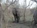 Africa0137