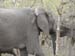 Africa0138