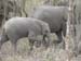Africa0140