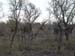 Africa0141
