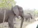 Africa0143