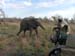 Africa0146