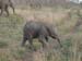 Africa0148