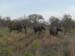 Africa0159