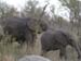 Africa0160