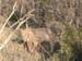 Africa0162