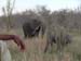 Africa0163