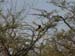 Africa0165