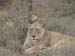 Africa0166