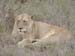 Africa0167