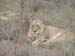 Africa0168