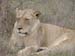 Africa0169