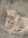 Africa0170