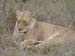 Africa0171