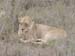 Africa0174