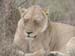 Africa0175