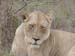 Africa0176