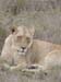 Africa0178