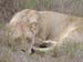 Africa0180