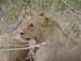 Africa0183