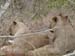Africa0188